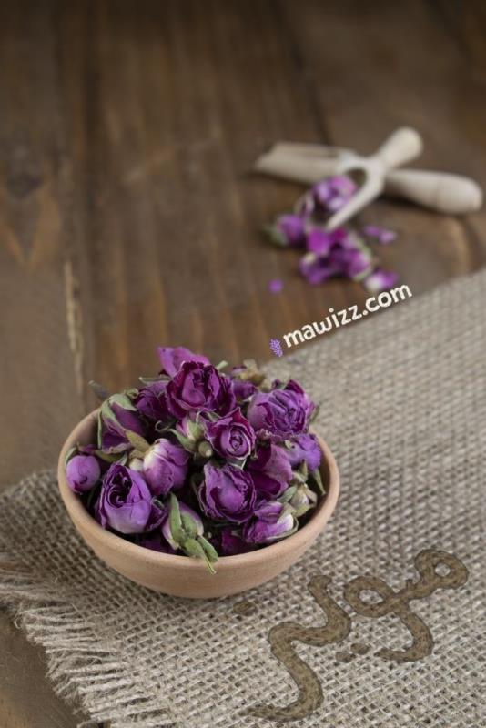 _DSC0042.jpg گل غنچه محمدی