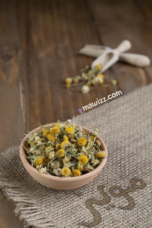 _DSC0047.jpg بابونه