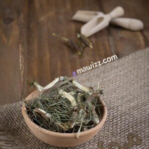 دم اسبی