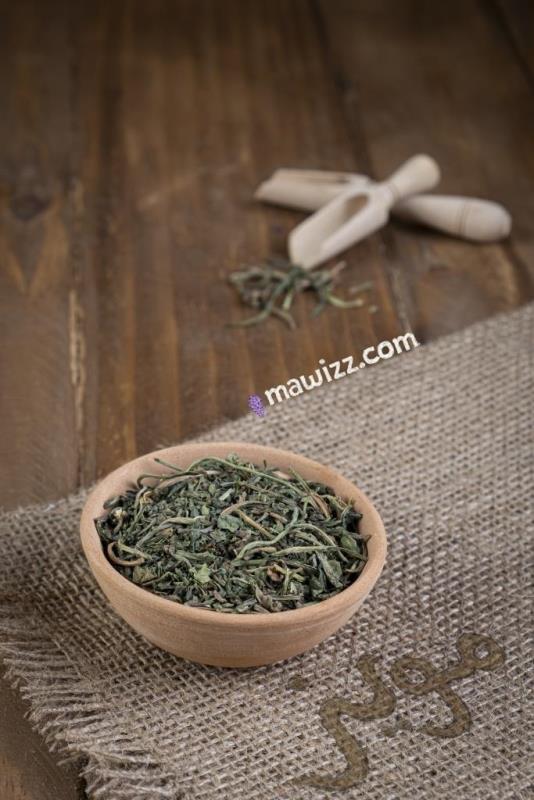 DSCF4949.jpg گزنه