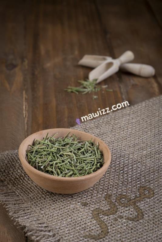DSCF5170.jpg رزماری
