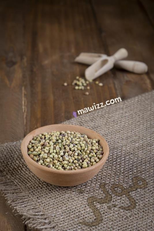 DSCF5181.jpg شاهدانه