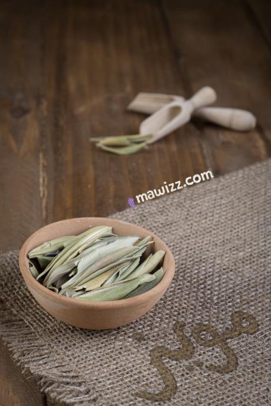 DSCF5197.jpg برگ زیتون