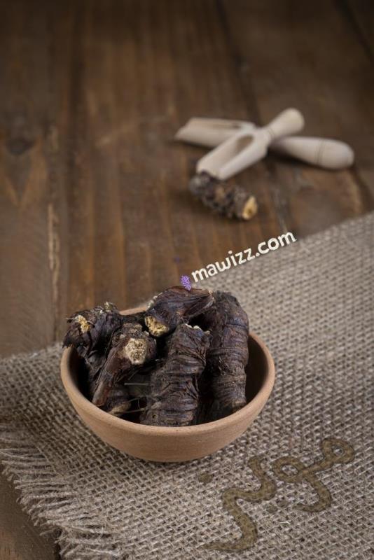 اریسا.jpg ریشه آریسا