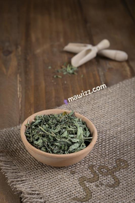بادرنج بویه.jpg بادرنجبویه
