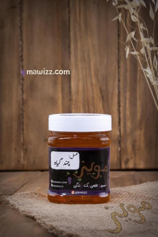 عسل چند گیاه.jpg عسل چندگیاه(نیم کیلویی)